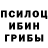 Галлюциногенные грибы Magic Shrooms Joseph Grace