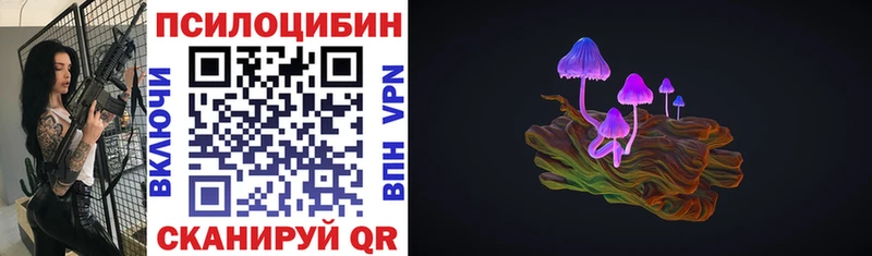 блэк спрут маркетплейс  Сосенский  Галлюциногенные грибы Psilocybe 